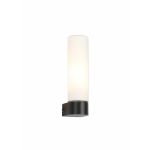 Tasso IP44 1 Light E14 Wall Lamp, Satin Black With Opal Tubular Glass